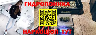 стаф Донской