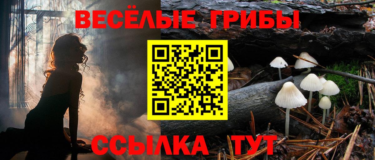 Можга  Псилоцибиновые грибы Cubensis  где купить   Галлюциногенные грибы Psilocybine cubensis  Вход с VPN 